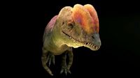 Dilophosaurus