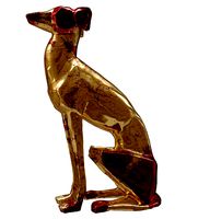 Tazy dog