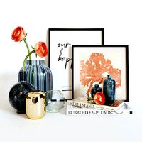 Ranunculus decorative set model