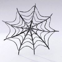 Spider web cartoon 3d model