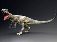 Allosaurus Real Dinosaur 74 Animations
