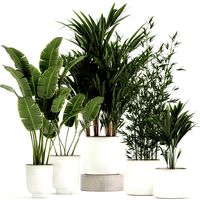 plants in a metal flowerpot for the interior 1087