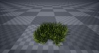 grass
