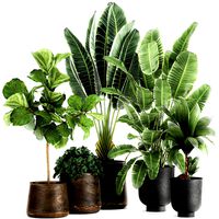 plants in a metal flowerpot for the interior 1086