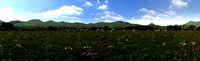 dairy farm