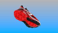 footwear sport