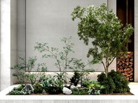 modern plants