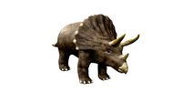 triceratops rigged