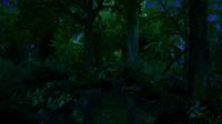 rainforest