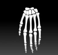 the 3d printing and downloading of human bone structure
