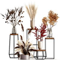 collection of bouquets of dried flowers 212