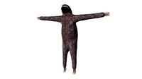 sloth