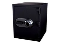 steel safe v 1