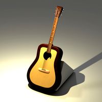 acoustic guitar