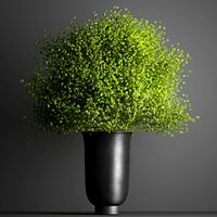 decorative bouquet of flowers in a vase for decor and interior 205