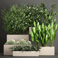 collection of plants from bushes and thickets for landscape design 1063
