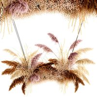 hanging decor of their dried pampas grass 200
