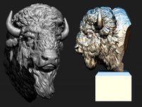 bison bust