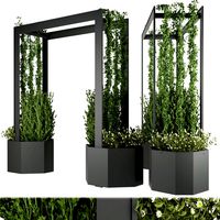 collection plant vol 147