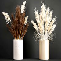 decorative bouquet of dried pampas grass 194