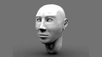 bust