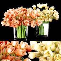 collection plant vol 114