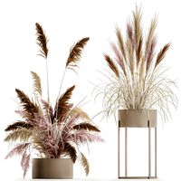 decorative bouquet of dried pampas grass 196