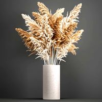 decorative bouquet of dried pampas grass 192