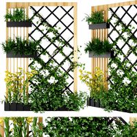 collection plant vol 81