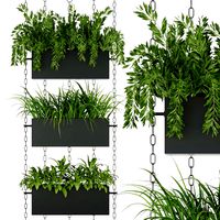 collection plant vol 85