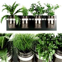 collection plant vol 67