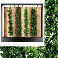 collection plant vol 63