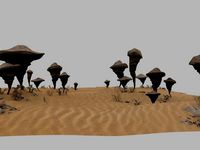 rocks