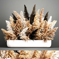 bouquet of dried reeds in a vase 186