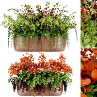 collection plant vol 24