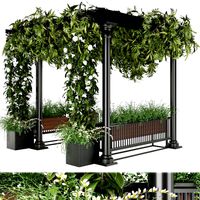 collection plant vol 33