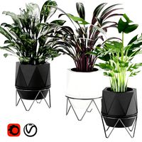 collection plant vol 3