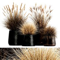 dried reeds in a rusty flowerpot for the interior 1058
