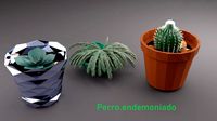 flowerpot lowpoly suculents and cactus