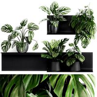 decorative shelf with flowers monstera in pots 71