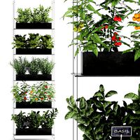 vertical garden for the kitchen 68