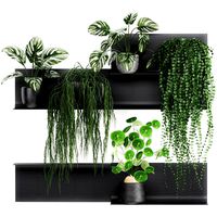 decorative shelf with flowers in pots 67