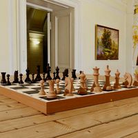 chessboard model cobined with backgammon