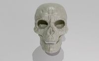 skull low-poly pbr