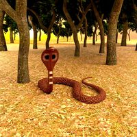 Spectacled Cobra