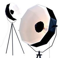 lamp hollywood tripod