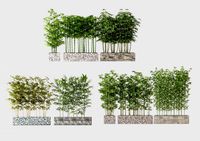 modern plants