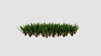 grass