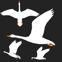 rigged white flying goose