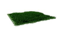 realistic lawn grass for your projects